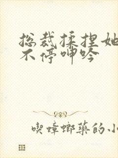 总裁揉捏她两乳不停呻吟