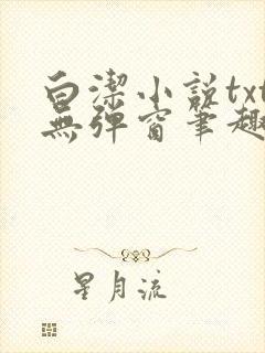 白洁小说txt无弹窗笔趣阁