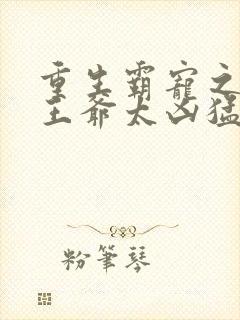 重生霸宠之摄政王爷太凶猛