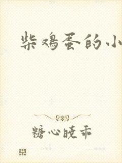 柴鸡蛋的小说