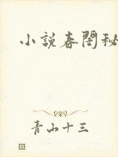 小说春闺秘史