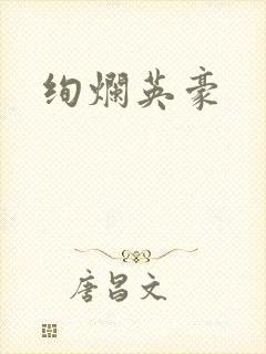 绚烂英豪