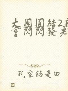 大团圆结2亲情会闪闪发光亲情会2