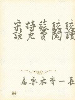 宋持苏皎皎的小说免费阅读