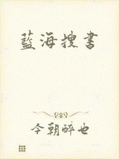 蓝海搜书