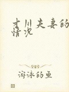 才川夫妻的恋爱情况