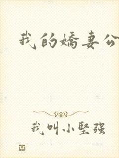 我的娇妻公务员