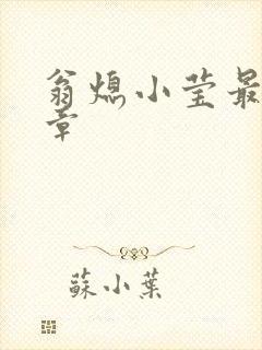 翁熄小莹最新节章