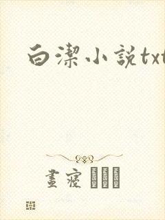 白洁小说txt