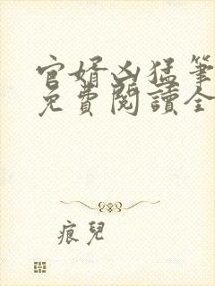 官婿凶猛笔趣阁免费阅读全文