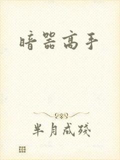 暗器高手