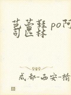 芭蕾鞋 po阿司匹林