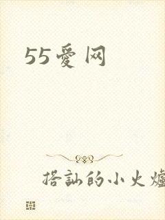 55爱网