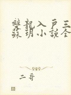 双龙入户三人行苏玥小说全文阅读