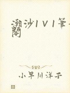 潮沙1∨1笔趣阁