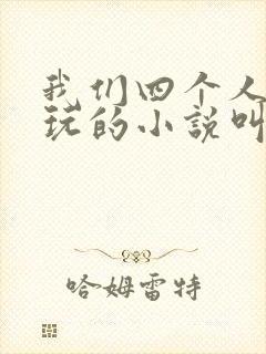我们四个人换着玩的小说叫什么