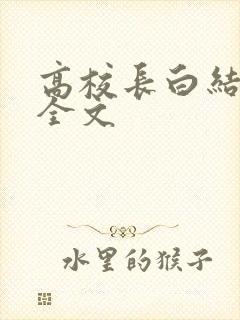 高校长白结小说全文