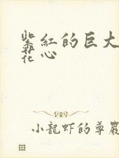 紫红的巨大顶开花心