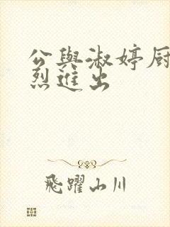 公与淑婷厨房猛烈进出