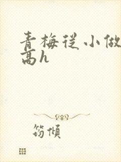 青梅从小做到大高h