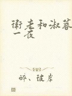 卫老和淑蓉销魂一夜