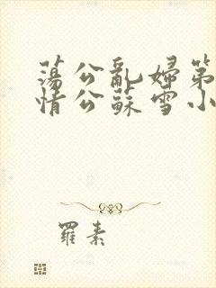 荡公乱妇第1章情公苏雪小说