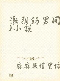 激烈的男同(h)小说