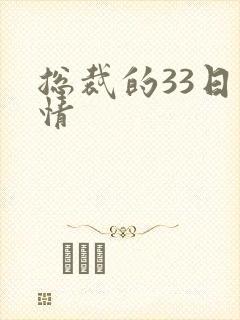 总裁的33日索情