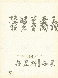 陆昭菱晋王的小说免费阅读