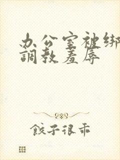 办公室被绑奶头调教羞辱