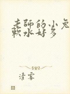 老师的小兔子好软水好多