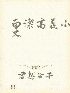 白洁高义小说全文