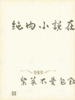 纯肉小说在线