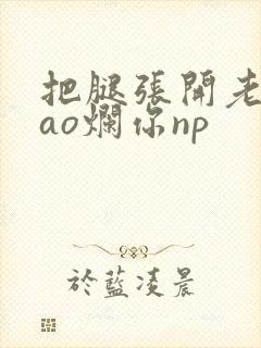 把腿张开老子cao烂你np