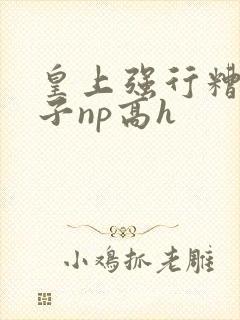 皇上强行糟蹋太子np高h