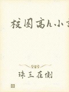 校园高h小说