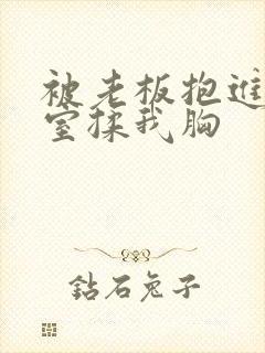 被老板抱进办公室揉我胸