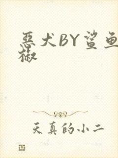 恶犬BY鲨鱼辣椒