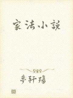 家法小说