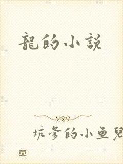 龙的小说