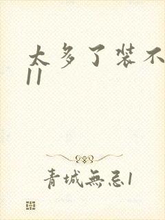 太多了装不下H11