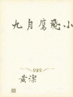 九月鹰飞小说