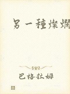 另一种灿烂生活