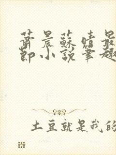 萧晨苏晴最新章节小说笔趣阁