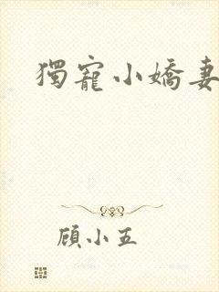 独宠小娇妻