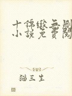 十锦缎无删原著小说免费阅读