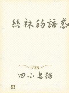 丝袜的诱惑小说