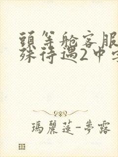 头等舱客服的特殊待遇2中字