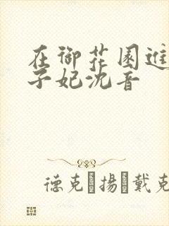 在御花园进入太子妃沈音