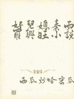 好儿媳秦雨罗明罗兴旺小说